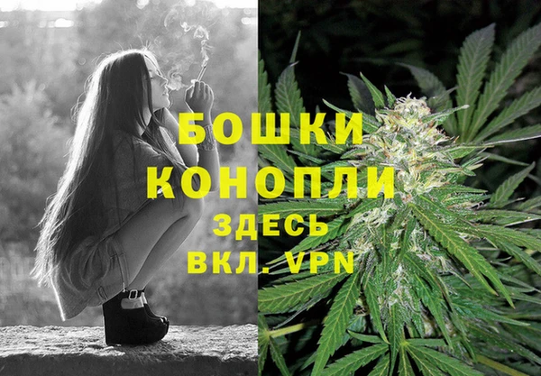 Альфа ПВП Майский