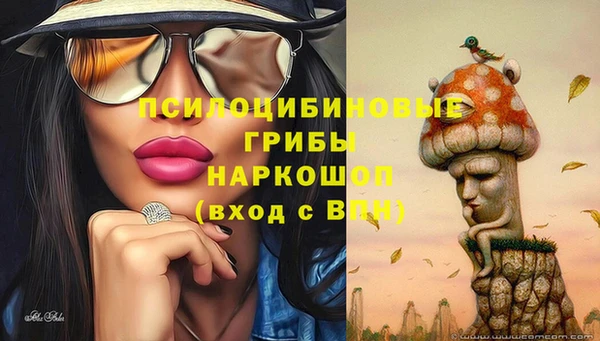 Альфа ПВП Майский